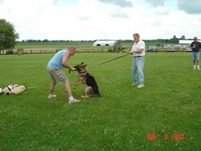 Beutespiel macht Spass
