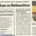 presse_2011